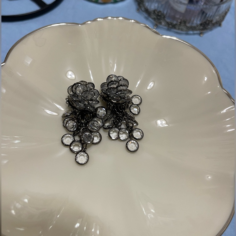 Gorgeous Vintage Sparkling Sorrelli Clips